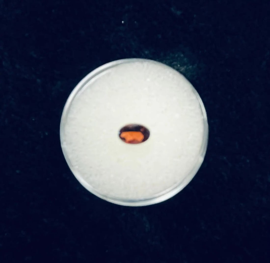 Exceptional Quality 1 Piece, Brazilian GRANET Oval Shaped Gemstone, Weight: 0.63 ct, Size 6x4, Gem11: ABC Rugs, Kilims & Jewelry offers internationally certified and verified pieces, with documentation provided by trusted gemological institutions, manufacturers, and industry professionals. At ABC 