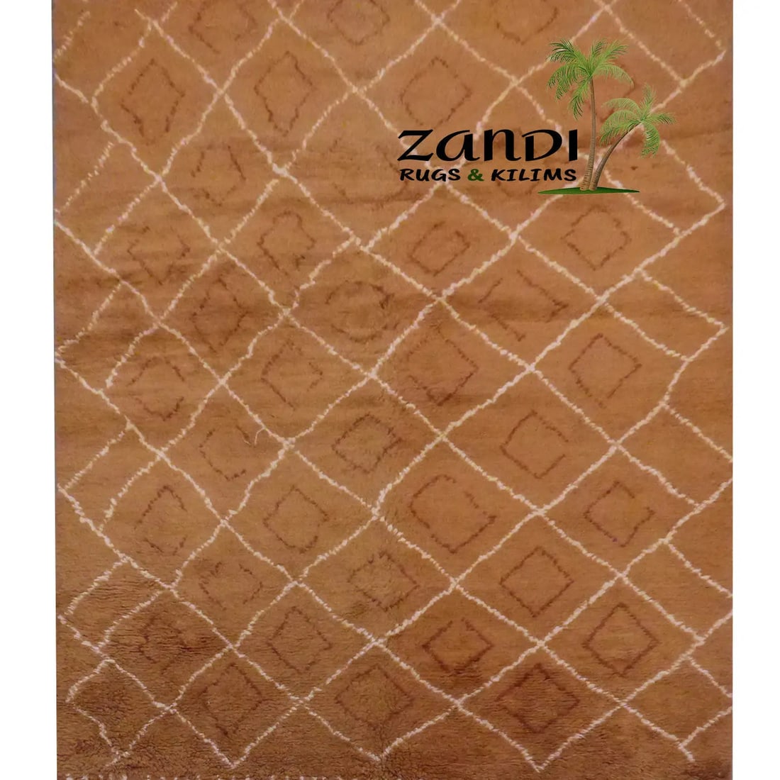 One Of The Kind Indian Hand Knotted Shaggy Rug 8'10" x 6': ABC Rugs Kilims Collection Indian Shaggy Design Hand Knotted Wool/Cotton Rug Size 8'10X 6' Gr16070 Abcr16070 The shaggy collection is a super thick and heavy blend of wool, viscose, and cotton in a de