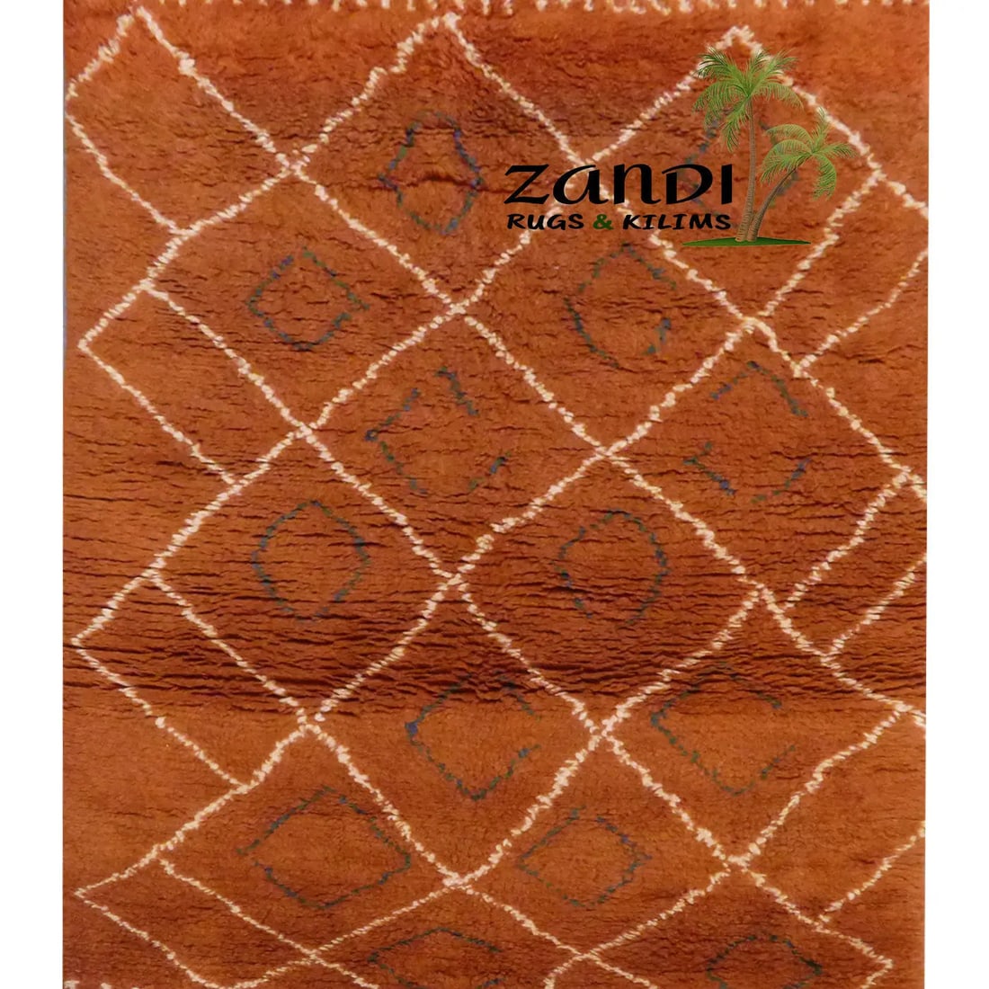 One Of The Kind Indian Hand Knotted Shaggy Rug 4'1" x 5'11": ABC Rugs Kilims Collection Indian Shaggy Design Hand Knotted Wool/Cotton Rug Size 4'1X 5'11 Gr16046 Abcr0020780 The shaggy collection is a super thick and heavy blend of wool, viscose, and cotton in a