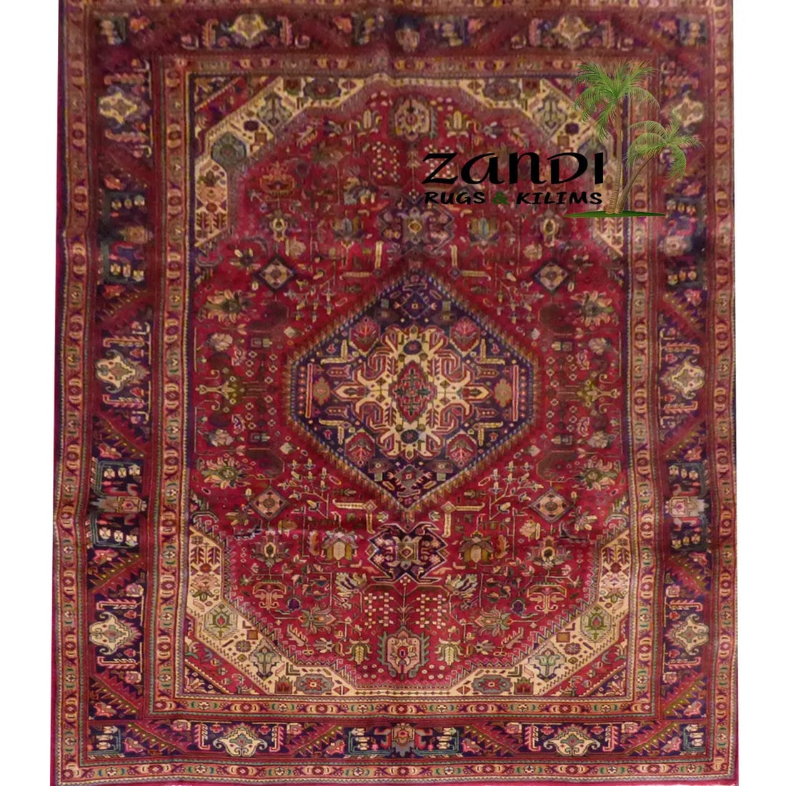 One Of The Kind Persian Tabriz Rug 9'8" x 6'6" (1 of 1)