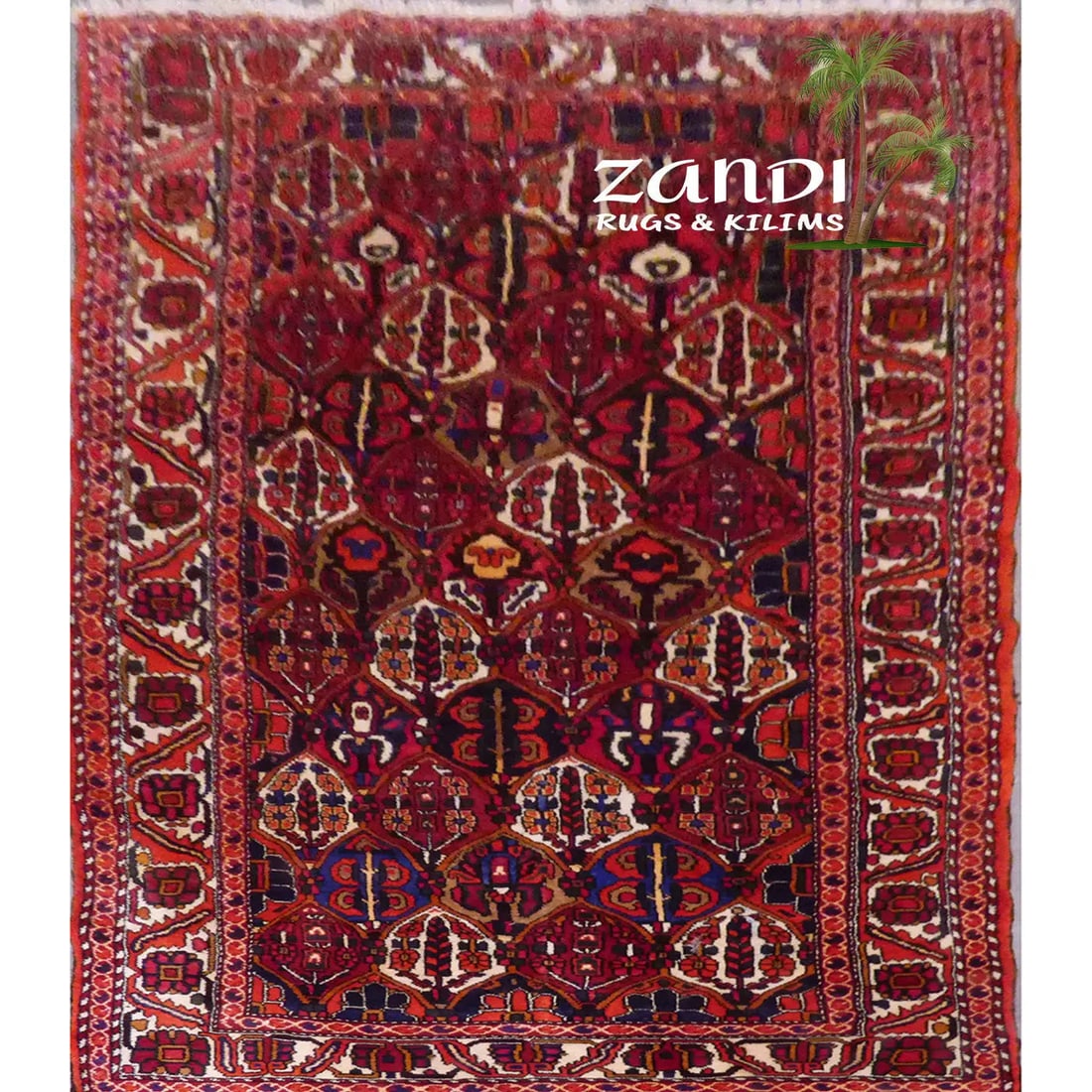 One Of The Kind Persian Bakhtiar Rug 9'10" x 5'1": ABC Rugs Kilims Collection Authentic Persian Rug Bakhtiar Traditional Style Hand-Knotted Indoor Area Rug With Natural Wool And Cotton 9'10" X 5'1" Abcr02773 Hand knotted and meticulously crafted by Pe