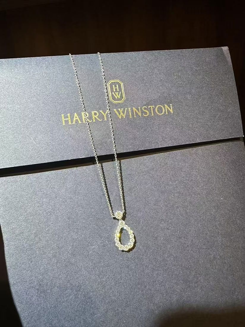 Harry Winston 15 round Diamond Loop Platinum Necklace Medium (1 of 9)