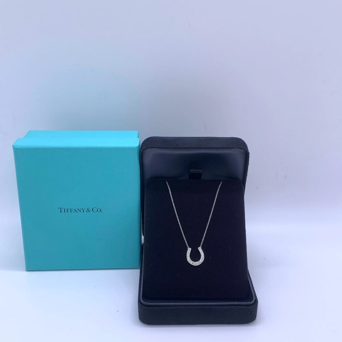 Tiffany & Co. Pt950 Platinum Pave Diamond Horseshoe Pendant Necklace (1 of 16)