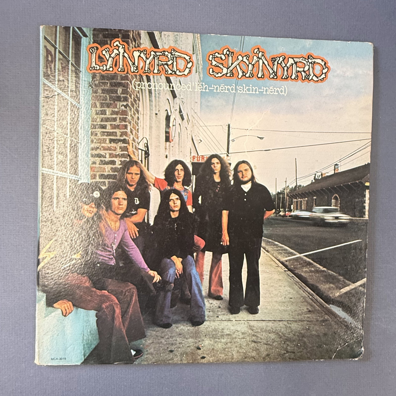 Vinyl Record Lynyrd Skynyrd: Classic Southern Rock and don't you forgit it.