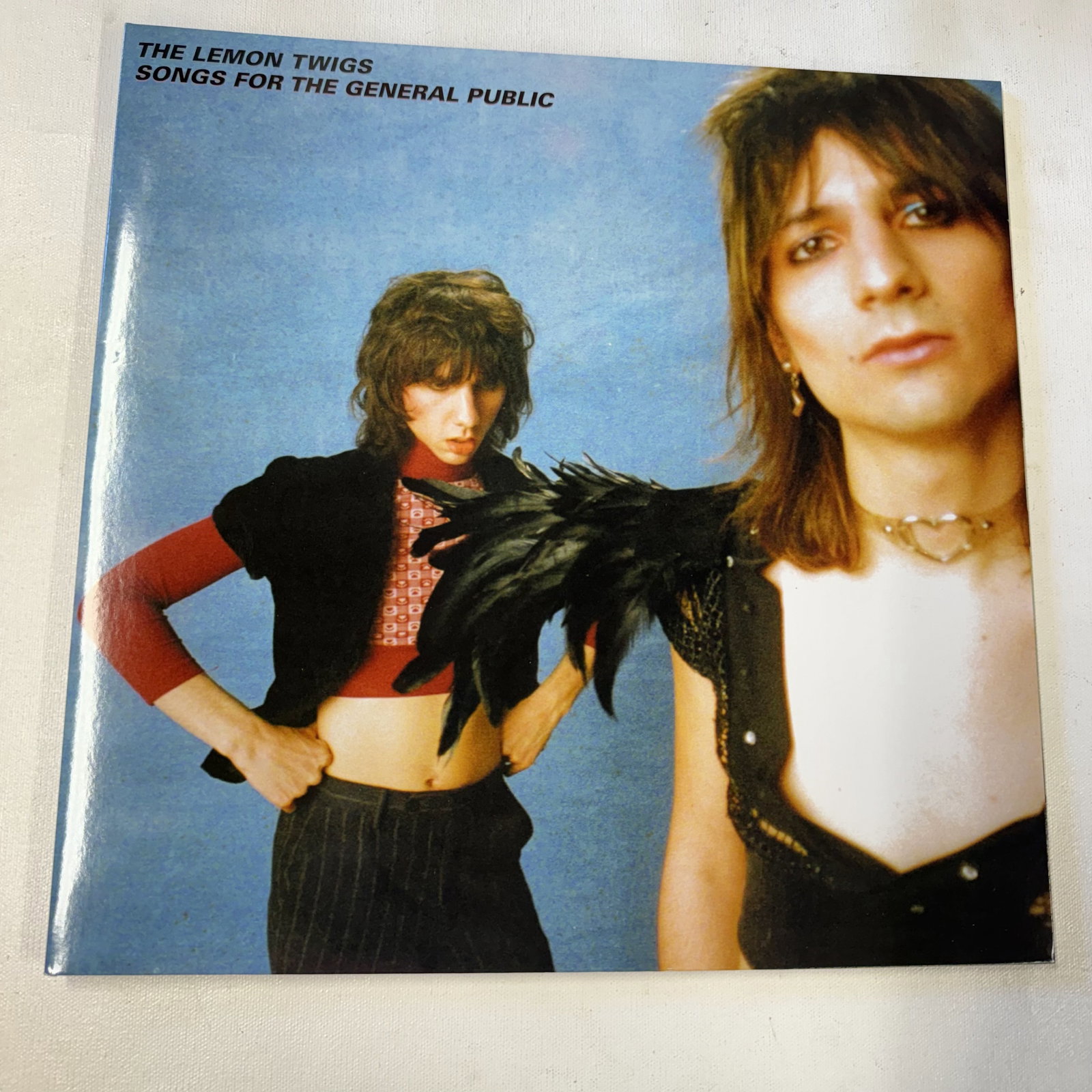 Vinyl Record Lemon Twigs General Public: Overall good - Vinyl: good - Cover: good - has been cleaned - Ships in a standard LP box with plastic sleeve - Combined shipping: y