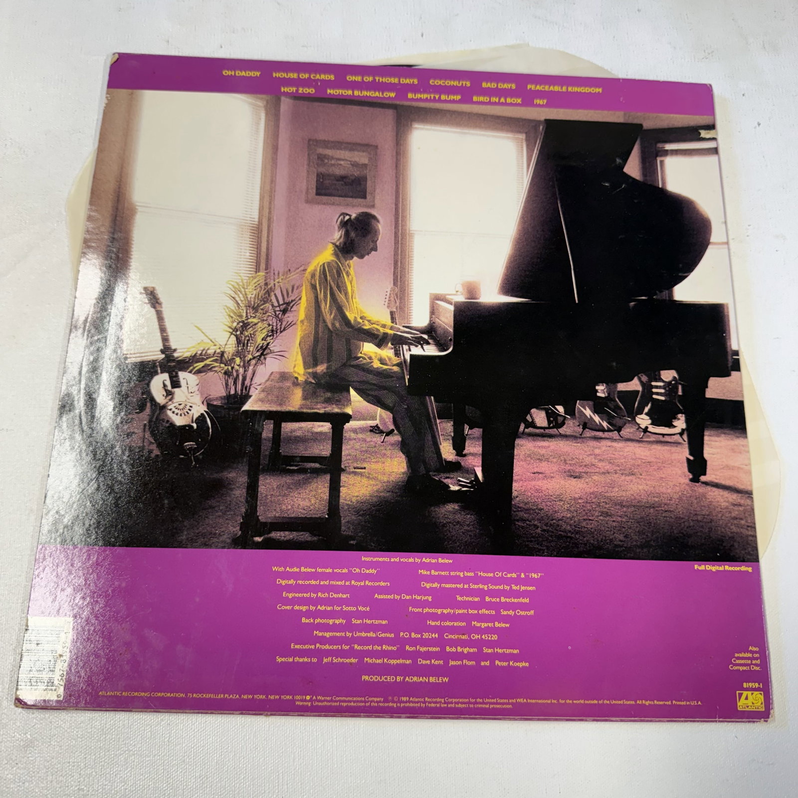 Vinyl Record Adrian Belew - 2