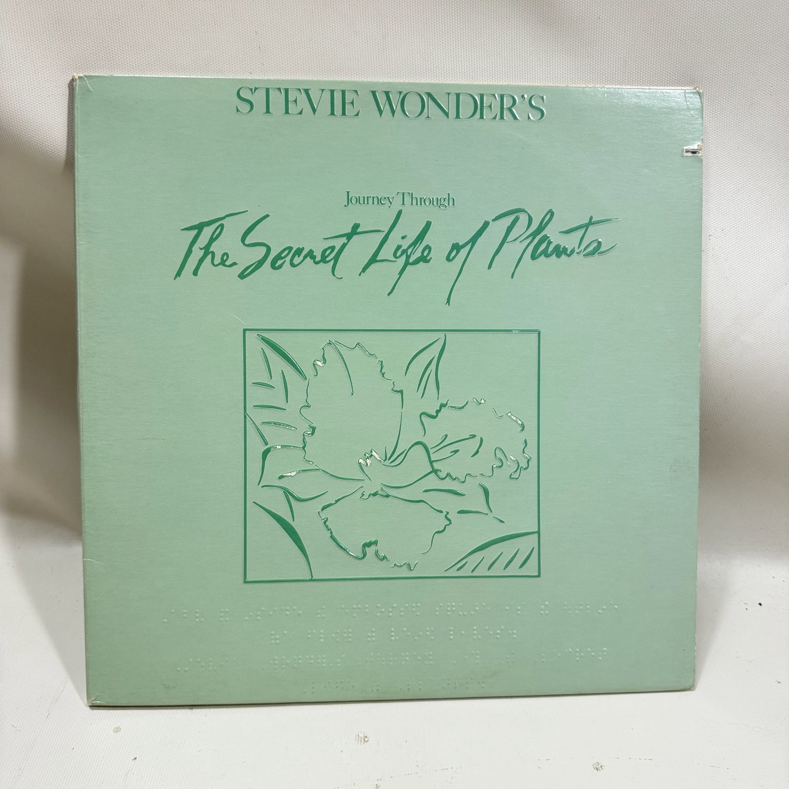 Vinyl Record Stevie Wonder Life of Plants: Overall good - Vinyl: good - Cover: good - has been cleaned - Ships in a standard LP box with plastic sleeve - Combined shipping: y