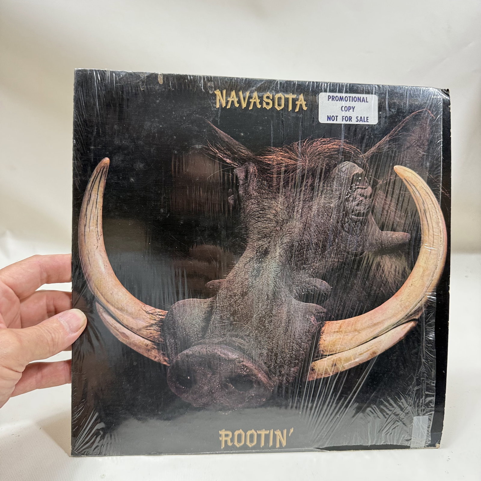 Vinyl Record Navosta Rootin': Overall good - Vinyl: good - Cover: good - has been cleaned - Ships in a standard LP box with plastic sleeve - Combined shipping: y