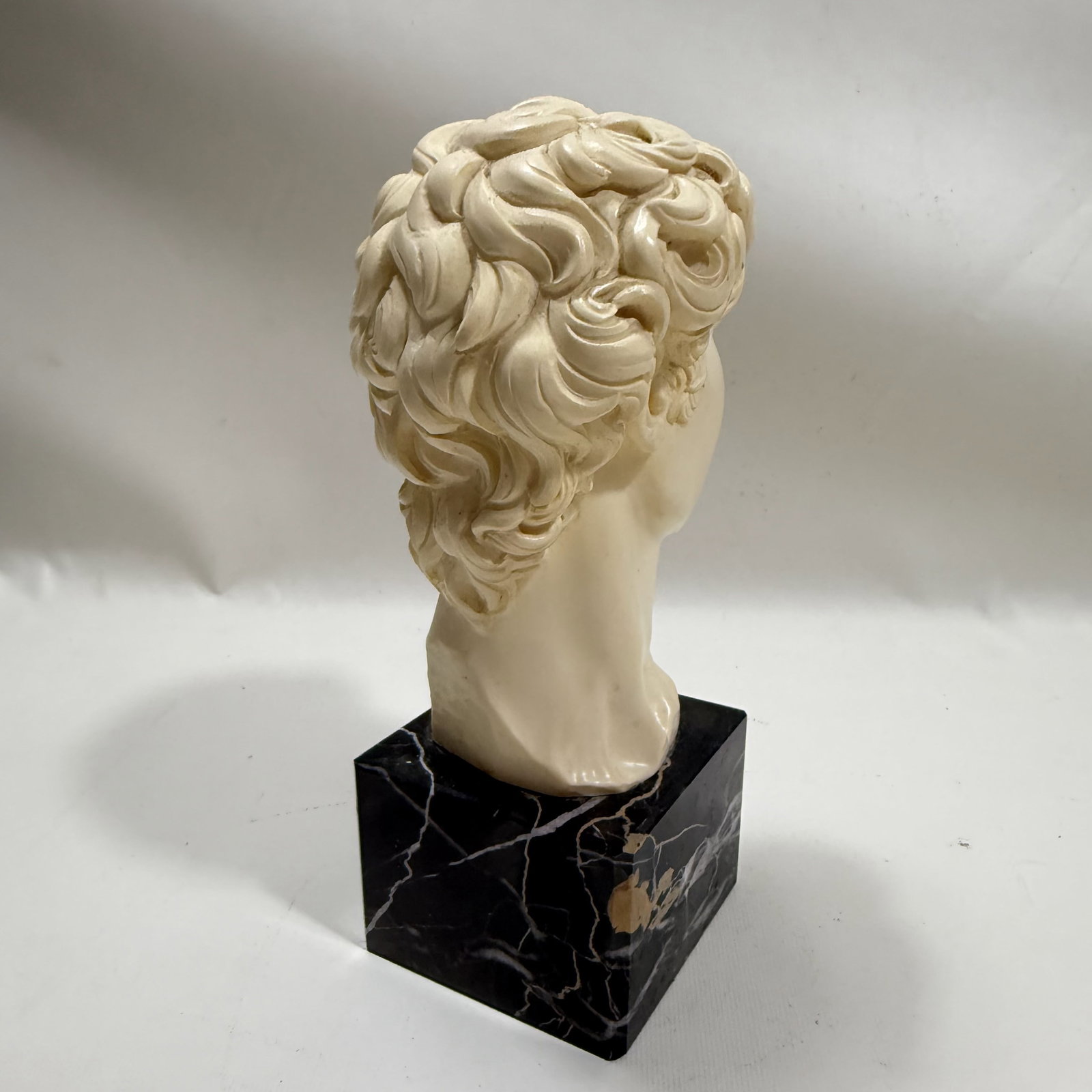 Michaelangelo Bust - 4