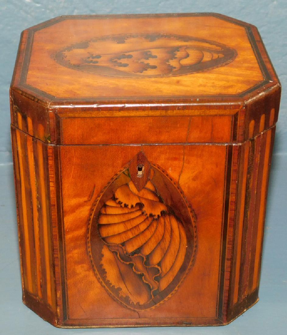 Octagon shaped inlaid tea caddy w 2 conch shells (1 of 3)