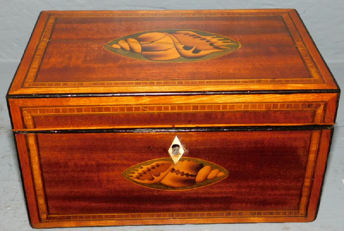 19th century conch shell inlaid tea caddy. (1 of 3)