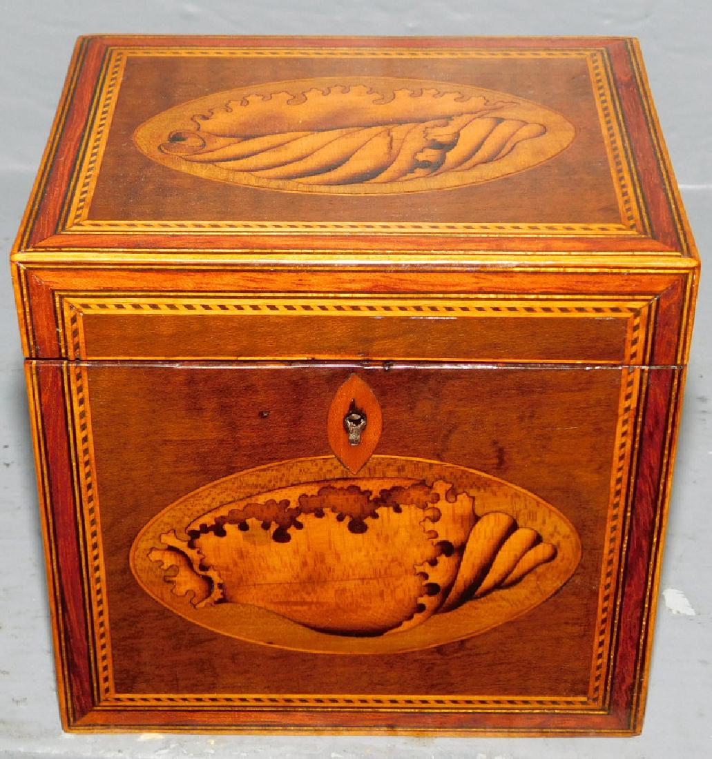 19th century conch shell inlaid tea caddy. (1 of 3)