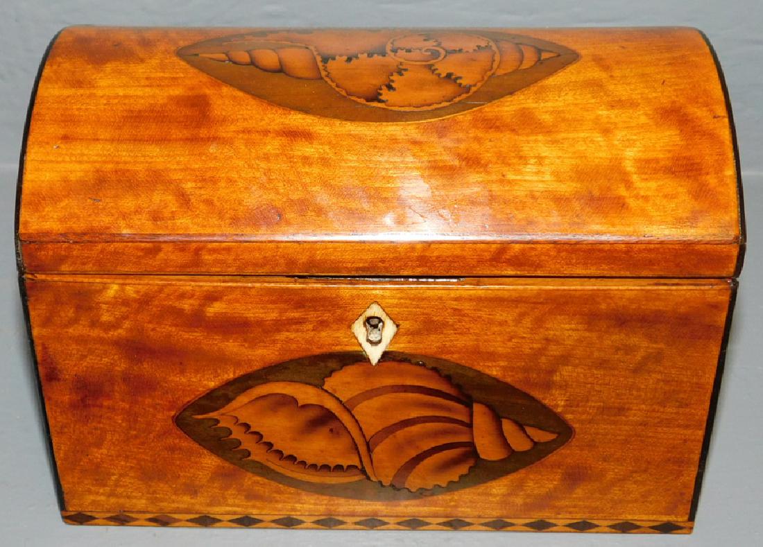 Satinwood dome top tea caddy. (1 of 3)