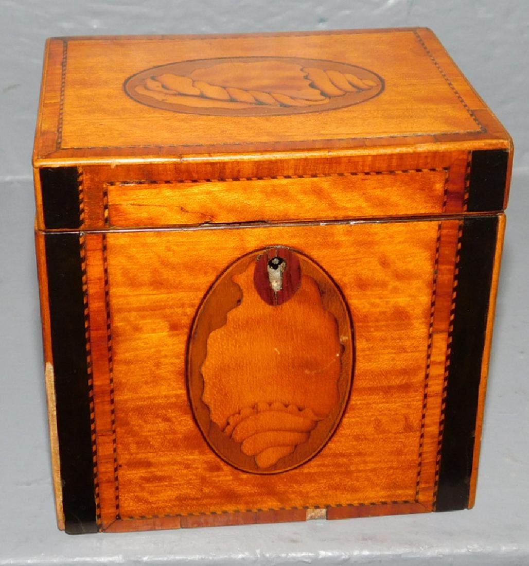 Satinwood and shell inlaid tea caddy. (1 of 3)