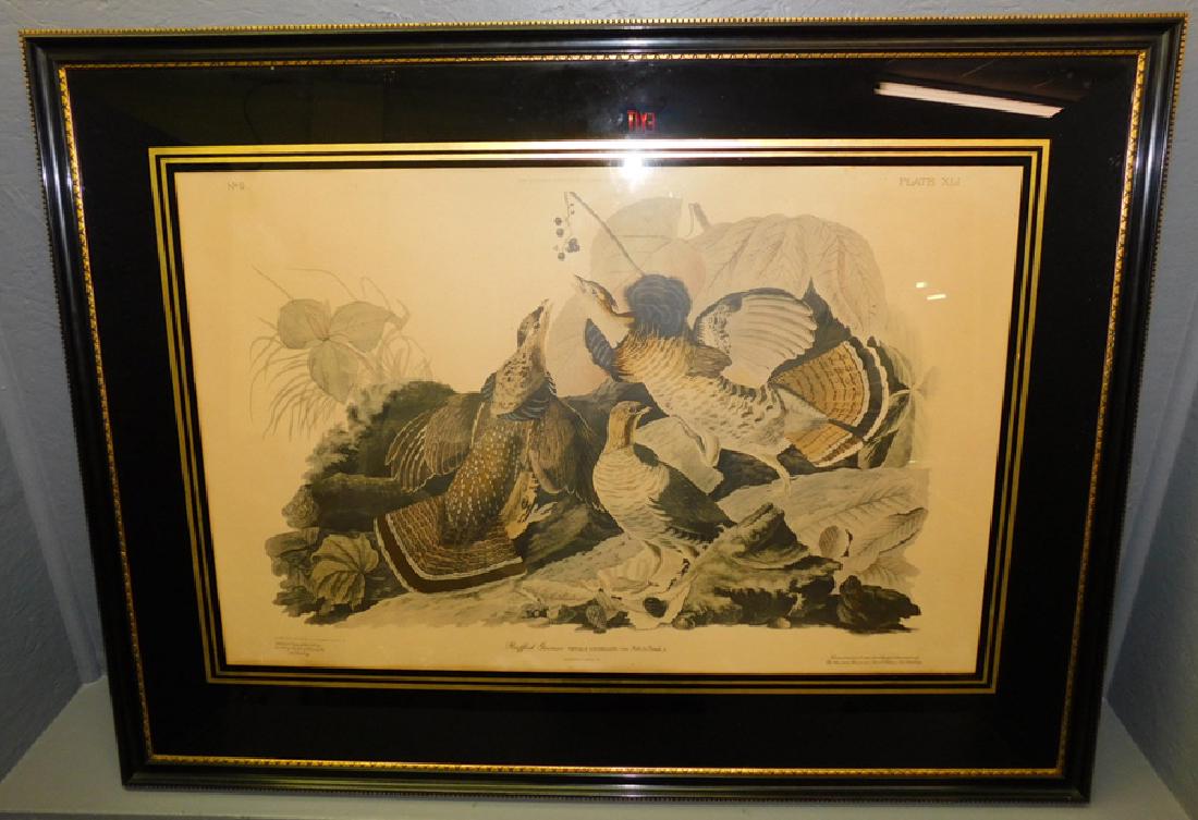 Ruffed Grouse hand colored engraving (1 of 8)