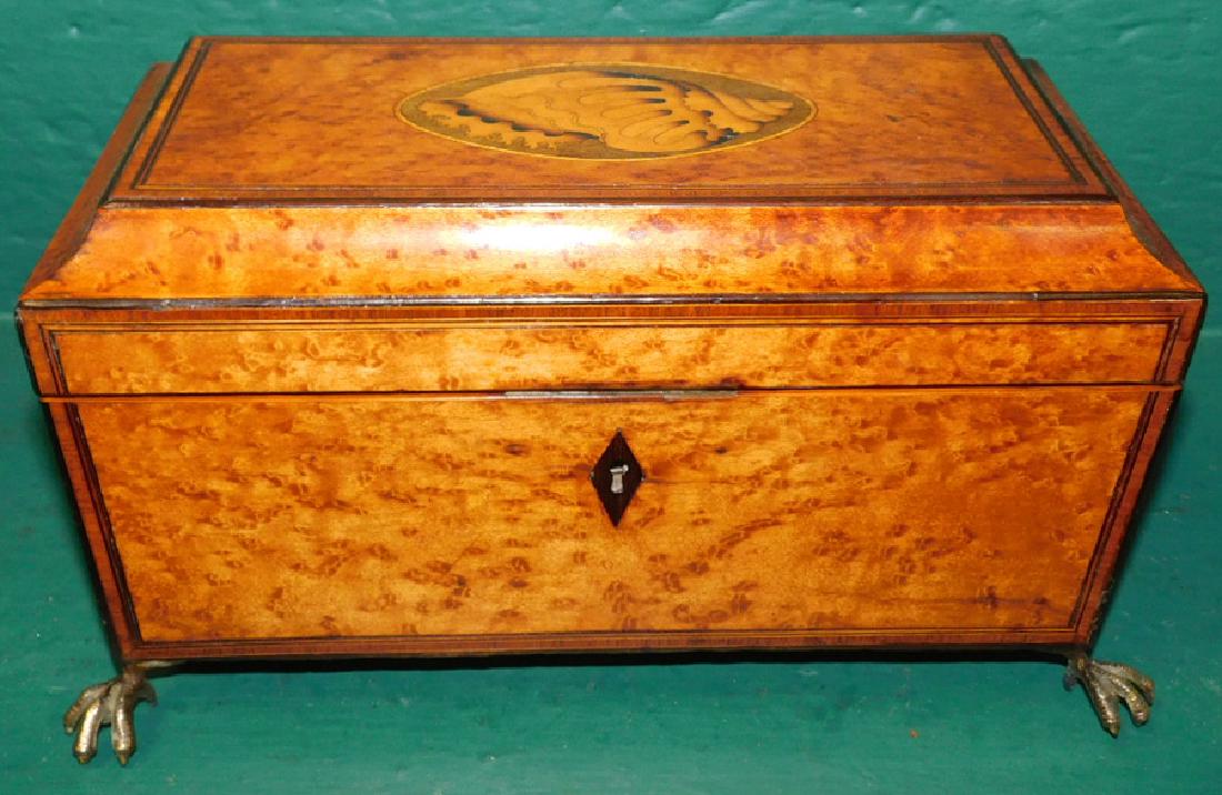 Birds Eye Maple Footed Tea Caddy: Birds Eye Maple Footed Tea Caddy With Conch Shell Inlay. 10" W 5" D 6" H