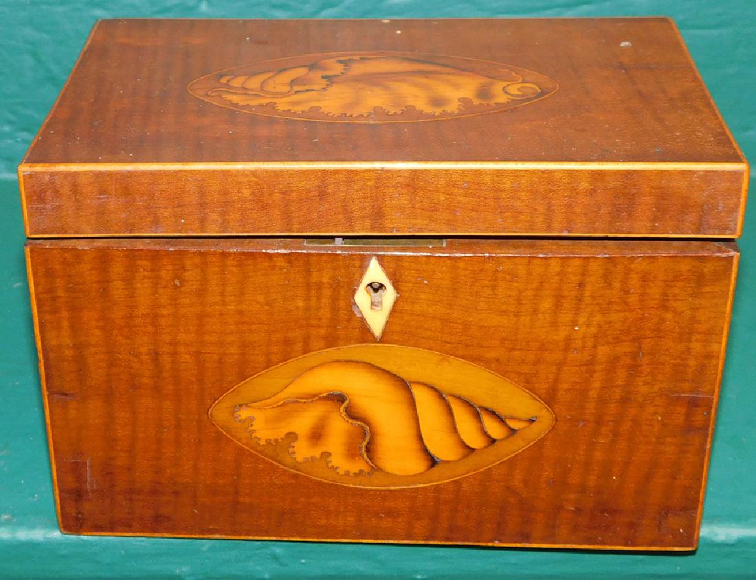 19th C Mahog Conch Shell Inlaid Tea Caddy (1 of 3)