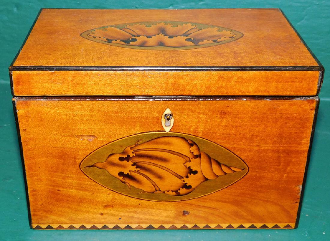 Satinwood Tea Caddy W/ Conch Shell Inlay (1 of 3)