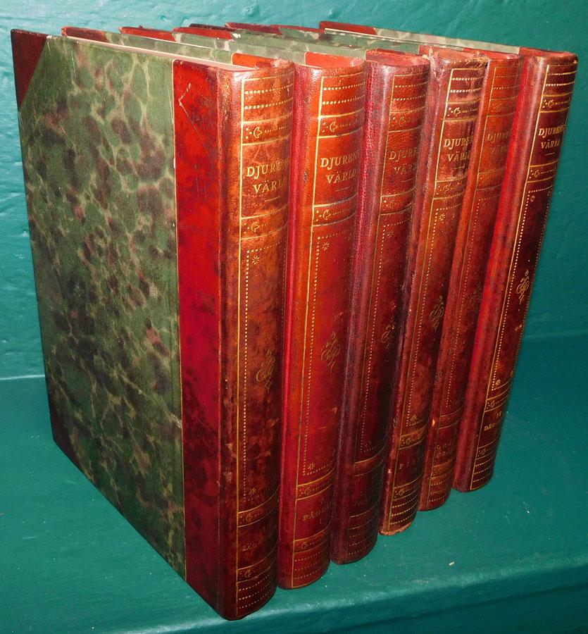 6 Leather Bound German Books (1 of 4)