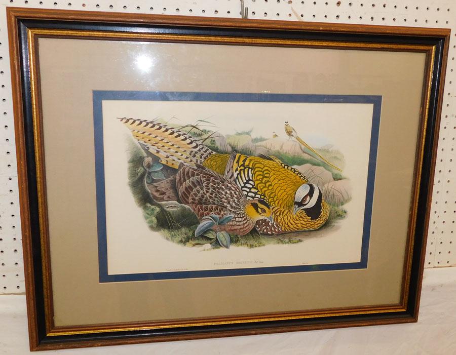 J. Gould Print Or Engraving (1 of 5)