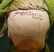 Two Antique Dolls -1 Bisque Head & 1 Paper Mache - 3