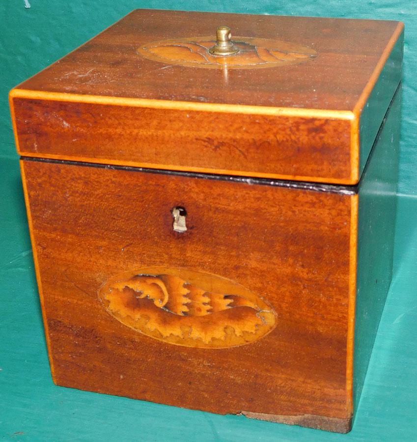 19th C Mahogany Conch Shell Inlay Tea Caddy (1 of 5)