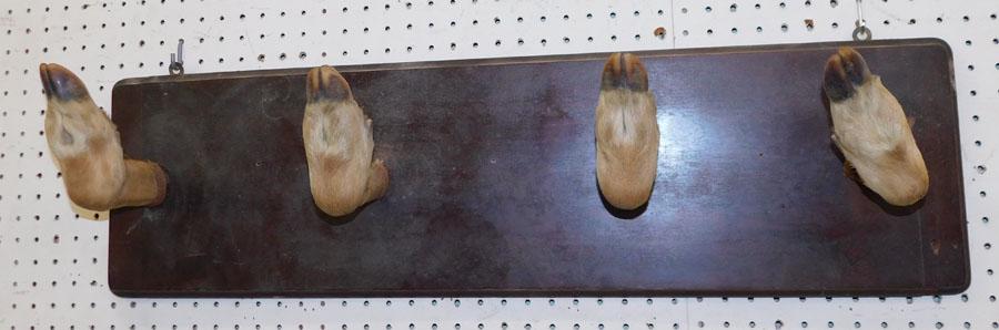 Hat Rack: Hat Rack. 36" W 10" H