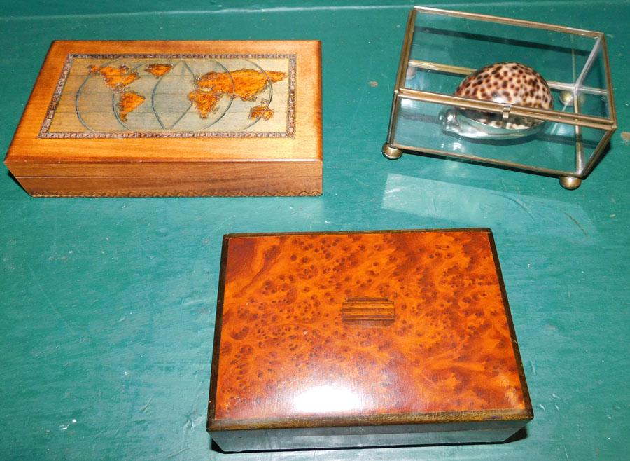 Burl Box, Carved Box, Glass Display Box (1 of 4)