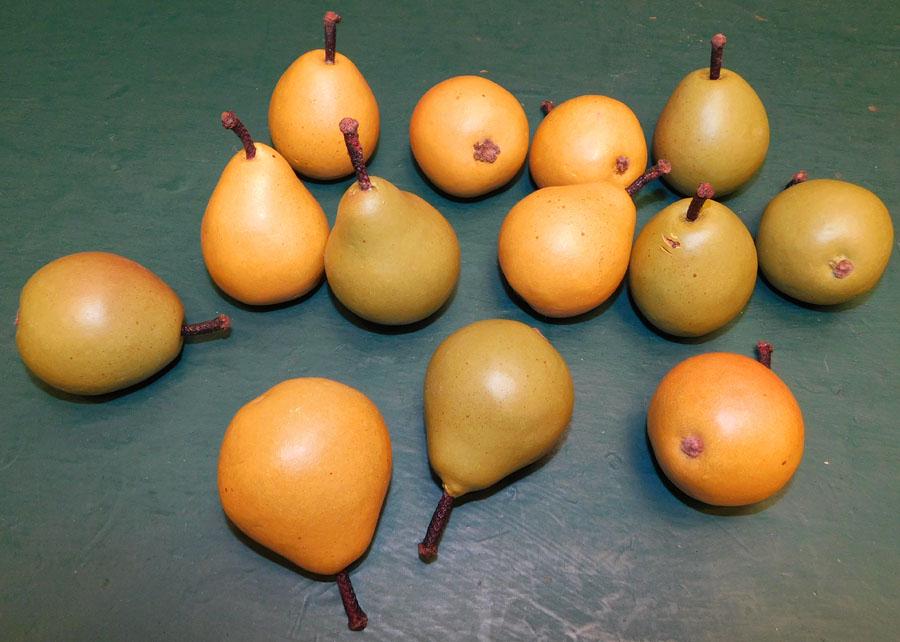 Lot 13 Ceramic Pears (1 of 1)