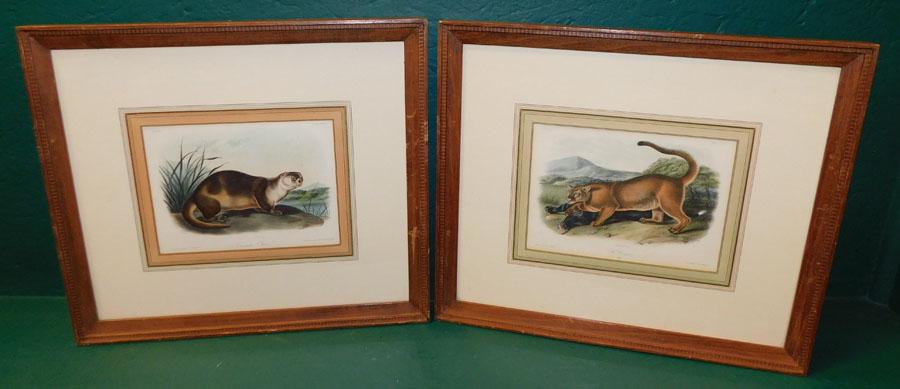 Two Audubon Framed Lithographs (1 of 13)