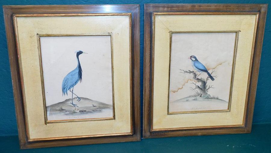 Pair Framed Hand Colored Bird Engravings (1 of 6)
