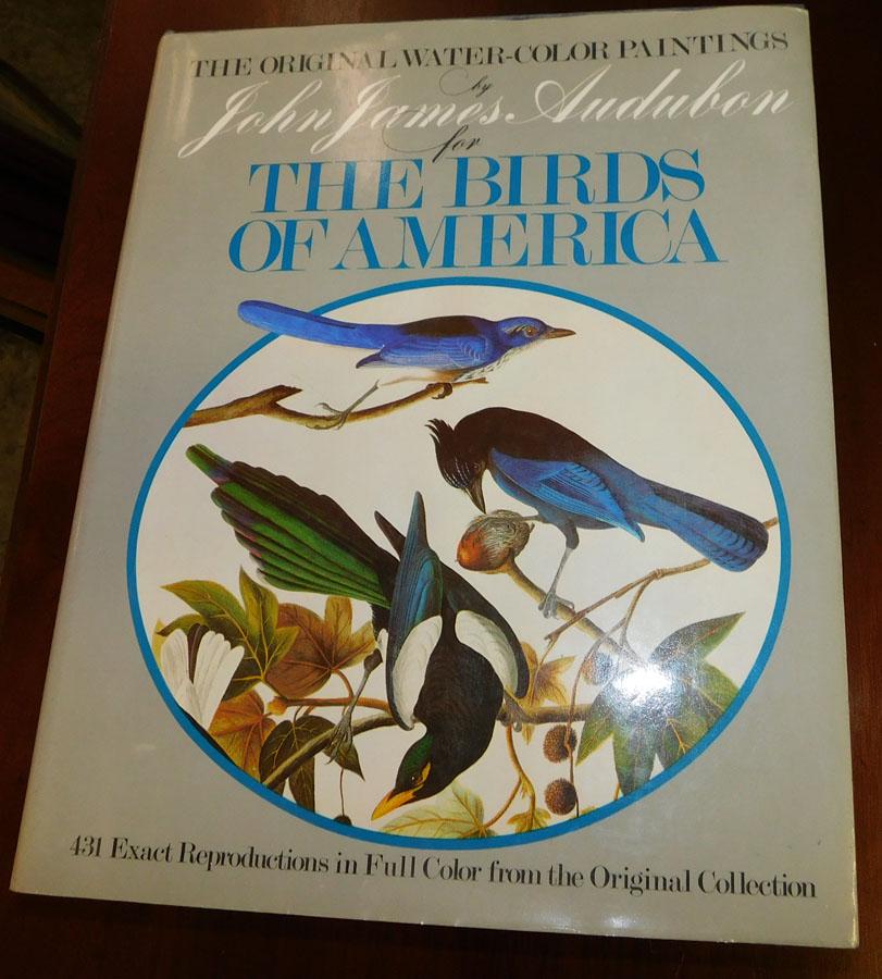 Audubon Coffee Table Book " Birds Of America": Audubon Coffee Table Book " Birds Of America".