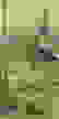 item-102872580=2