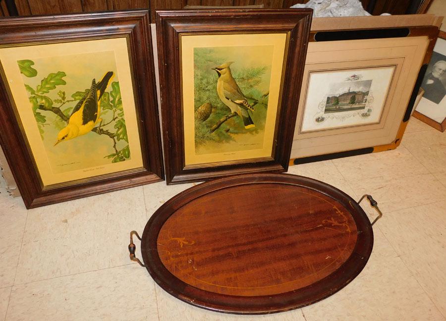 Mahogany Tray, Framed Engraving, Two Bird Prints (1 of 2)