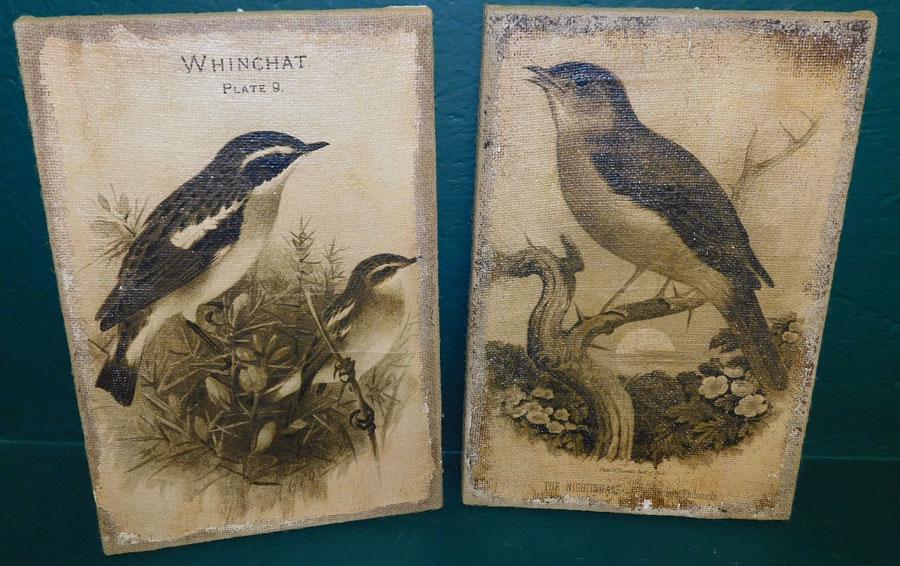 Pair of Bird Paintings on Burlap Canvas (1 of 5)