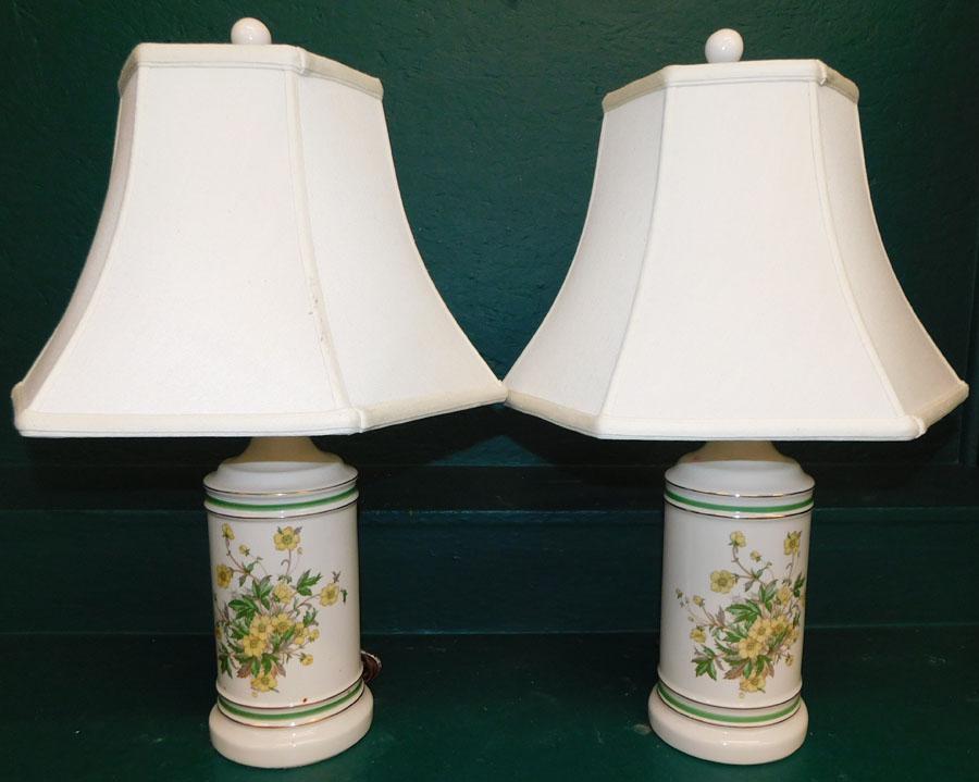 Pair Porcelain Lamps W/ Botanical Paint Decoration (1 of 2)