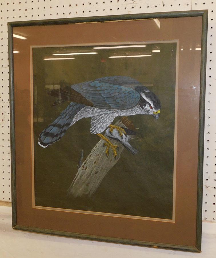 Framed Eagle Watercolor (1 of 5)
