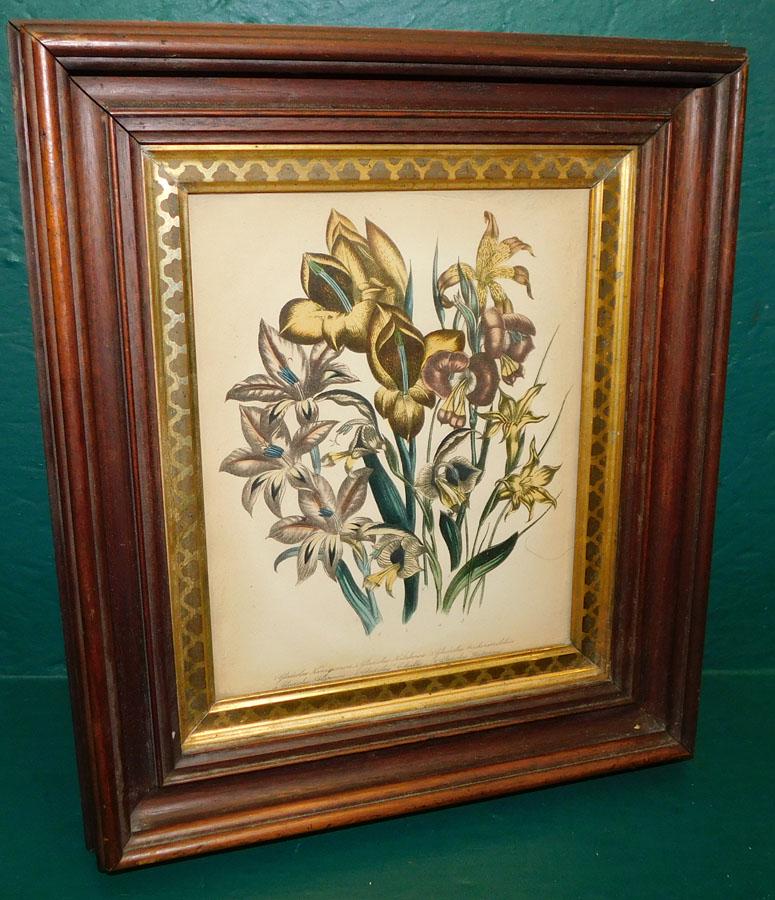 Walnut Victorian Frame Print (1 of 3)