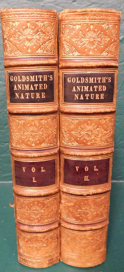 Two Quarter Leather Bound Antique Books (1 of 6)