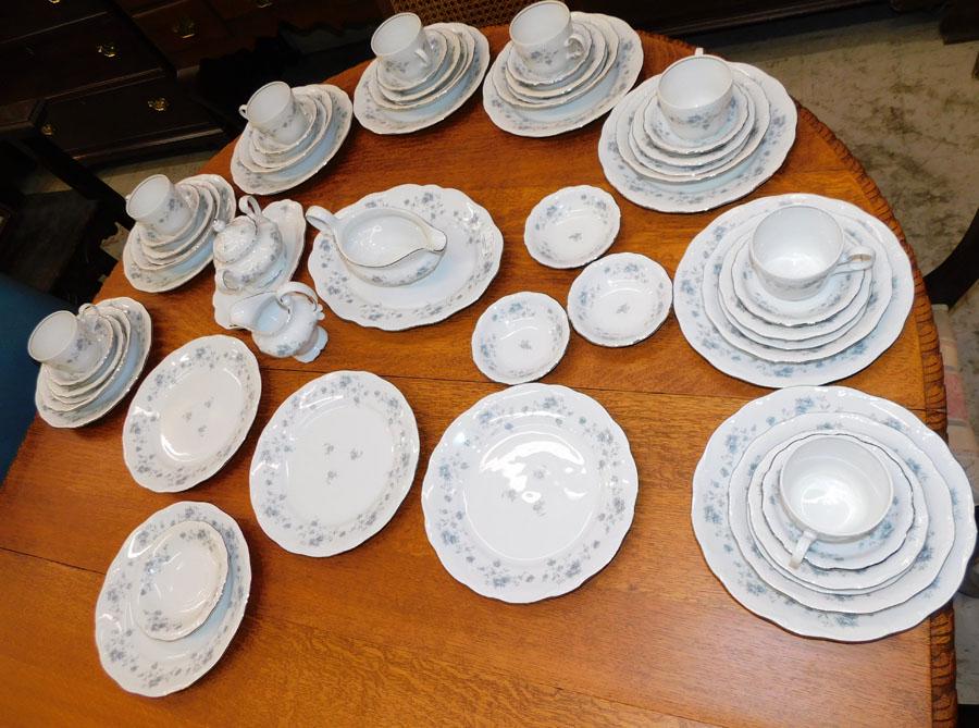61 Pc Johann Haviland Bavarian China (1 of 5)