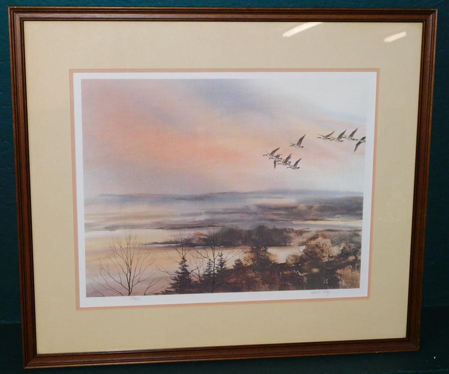 Framed Signed & Numbered Print of Canadian Geese (1 of 5)