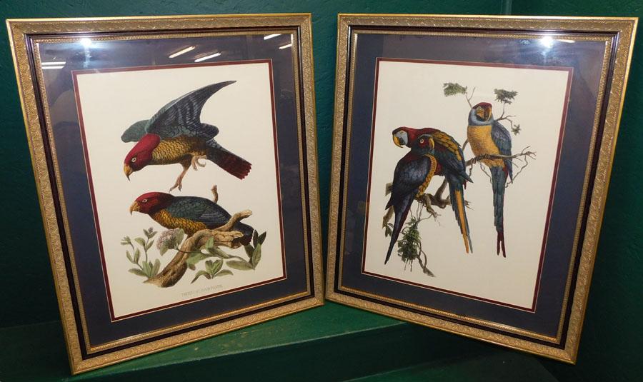 Pair of Framed Bird Prints (1 of 5)
