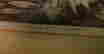 item-110739242=4