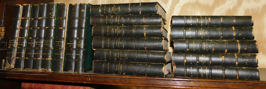 19 Volumes French Literature Leather Books (1 of 4)