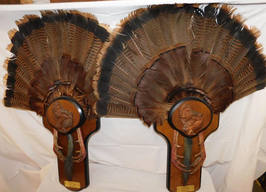 2 Turkey Feather Wall Hangings (1 of 4)