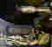 item-114796431=4