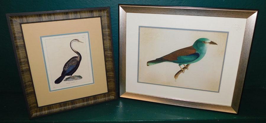 Two Framed Hand Colored Engravings Of Birds (1 of 5)