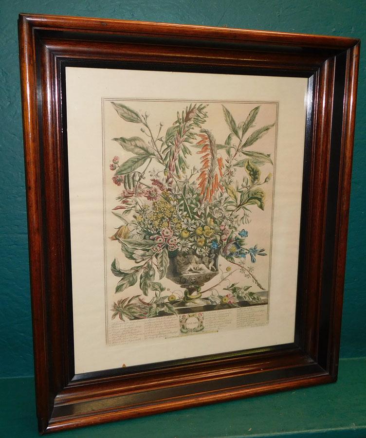 Hand Colored Engraving in Ant Walnut Shadowbox Frame (1 of 4)
