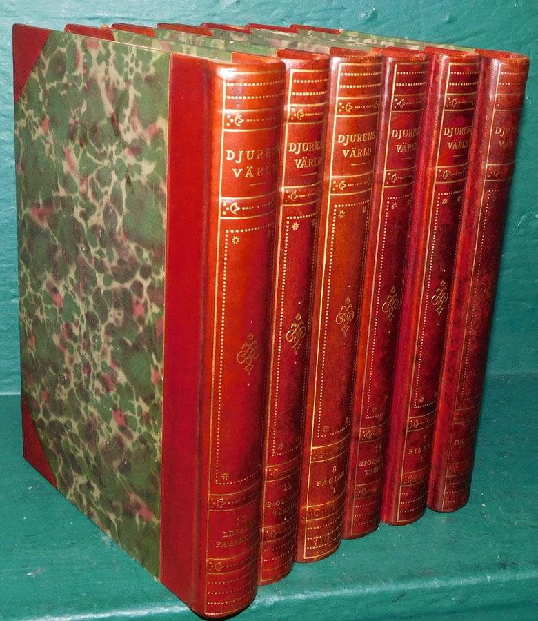 6 Quarter Leather Bound German Volumes (1 of 6)