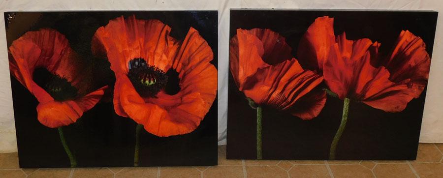 Two Framed Botanical Prints On Board (1 of 2)